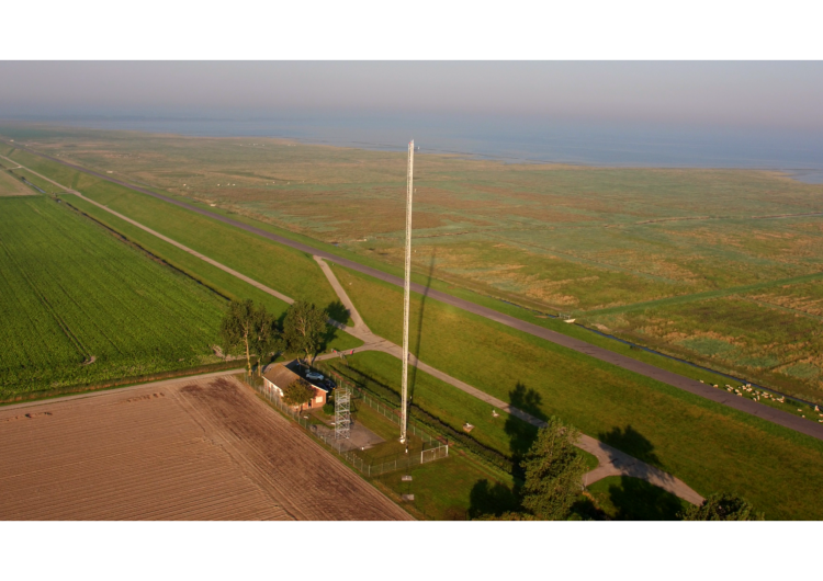 Lutjewad + Seals in Lauwersoog 2026